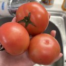 부전농수산물새벽시장 | 부산 부전 농수산물 새벽시장 내돈내산 35번상회