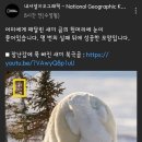 내셔널지오그래픽 이미지