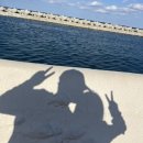 동광로6길 12 이미지