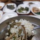 미산1리 버스종점 | [인제 약수숲길] 4구간, 오지 계곡 트레킹의 백미(白眉) 강추!!!