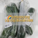 양덕동474 | 맘앤맘마창원점-2월15일(화)이유식재료&amp;이유식