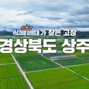 인후3동-02(짝비어 앞) | 오늘 6시 내고향 상주 참기름·참깨 총정리 — 주소·전화·가격 전체