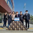 상황버섯 향촌 이미지