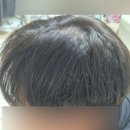 꿈미오 | 올리브영 샴푸 추천｜2,000ml 대용량! 온 가족이 믿고 쓰는 약산성 케어｜바디브 미오 샴푸 솔직 후기