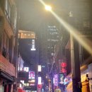 메리트랜드 | 12월의 마지막 순간들 (을지로 물결, 파르벵 쇼룸, 10CC, 투티에 매장, 엄버포스트파스트, 국립중앙...