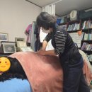 용두천로32길 | [내장기 도수요법] 충북 제천 문스힐링터치 체험 후기