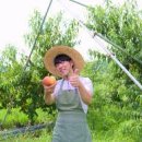 인간행동과사회환경 이미지