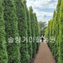 자연생활