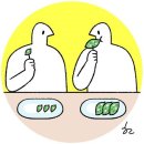 겨자씨