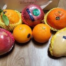 로즈애플 경산점 이미지