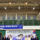 정동초등학교 이미지