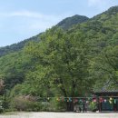 성불산자연휴양림 이미지