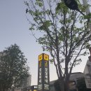 고수의운전면허잠실새내역점 | 강남운전면허학원 알아보다가 <고수의운전면허 잠실새내역점>에서 연습!