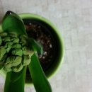 중원카공업사 이미지