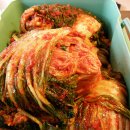 오클랜드 입성!!!