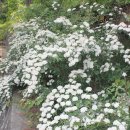 충청남도 산림박물관 이미지