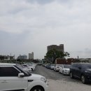 구.울산초 이미지