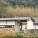 코스포덤 이미지