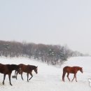 세상목장 이미지