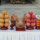 종헌농장 이미지