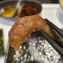 참치화 | 부산 명지국제신도시 "참치화" 부산 참치 맛집 후기🍣🍤😝