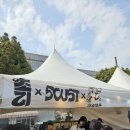 초리당 | 2026 제주 전농로 벚꽃축제 방문 후기 &amp; 초리 한정 메뉴, 2026년 03월 31일 기준 개화 상황