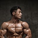 에이스바디 이미지