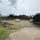 초시농장 이미지