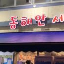 동해안세꼬시
