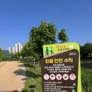 옐로우박스 | [장성/아이와가볼만한곳] 대형놀이터와 물놀이도 가능한 “황미르랜드”