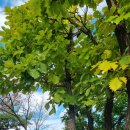 형제봉 농장 이미지