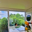 애월 시크릿펜션 | 제주 애월 가족여행 숙소 추천 프라이빗한 독채 풀빌라 슬로우캣