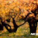 사진이야기 - 제주시 관덕로 36 | 사진이야기