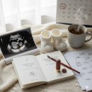 사주명리학&성명학(수시접수) | 신생아 작명소 유명한곳 3곳 비교 분석 (장행작명연구소 vs 정수역학연구소 vs 비선 소원재)