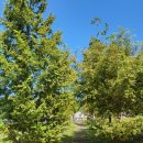 아우토반 세차장 이미지