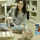 펫 & 쇼핑 이미지