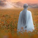 카페다르마 이미지