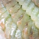 한회목장 이미지