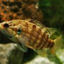 의정부정보도서관 이미지