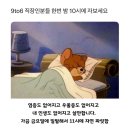 오피스디포 사천점 | 단풍과 함께 보내는 나날들