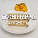 비니하우스 | 창원 성산구 대방동 카페 달콤비니하우스 재방문 디저트 맛집 솔직 후기