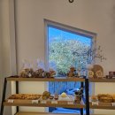 중앙사슴목장 이미지