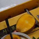 태양청과 이미지
