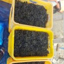 은애농장 이미지