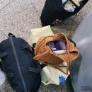 하경발전소 | 울산-부산 2박3일 뚜벅이 여행코스 / 일정 : 아주 간단 기록(세부일정은 이후에)