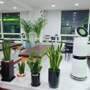 바디핏스튜디오 이미지