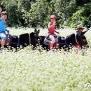 중부대로10 이미지