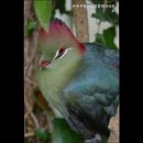 원스톱부동산공인중개사사무소 이미지