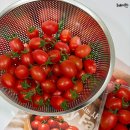 고흥 농장 | 방울토마토 고흥몰 은하수농장 갯바람 고흥 대추방울토마토 솔직후기