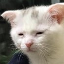 성룡관